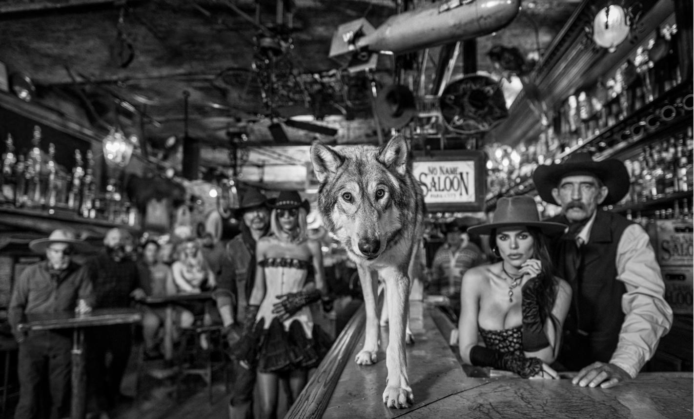 David Yarrow Figurative Photograph - 'The No Name Saloon' - Wolf on a Bar, fine art photography, 2023
