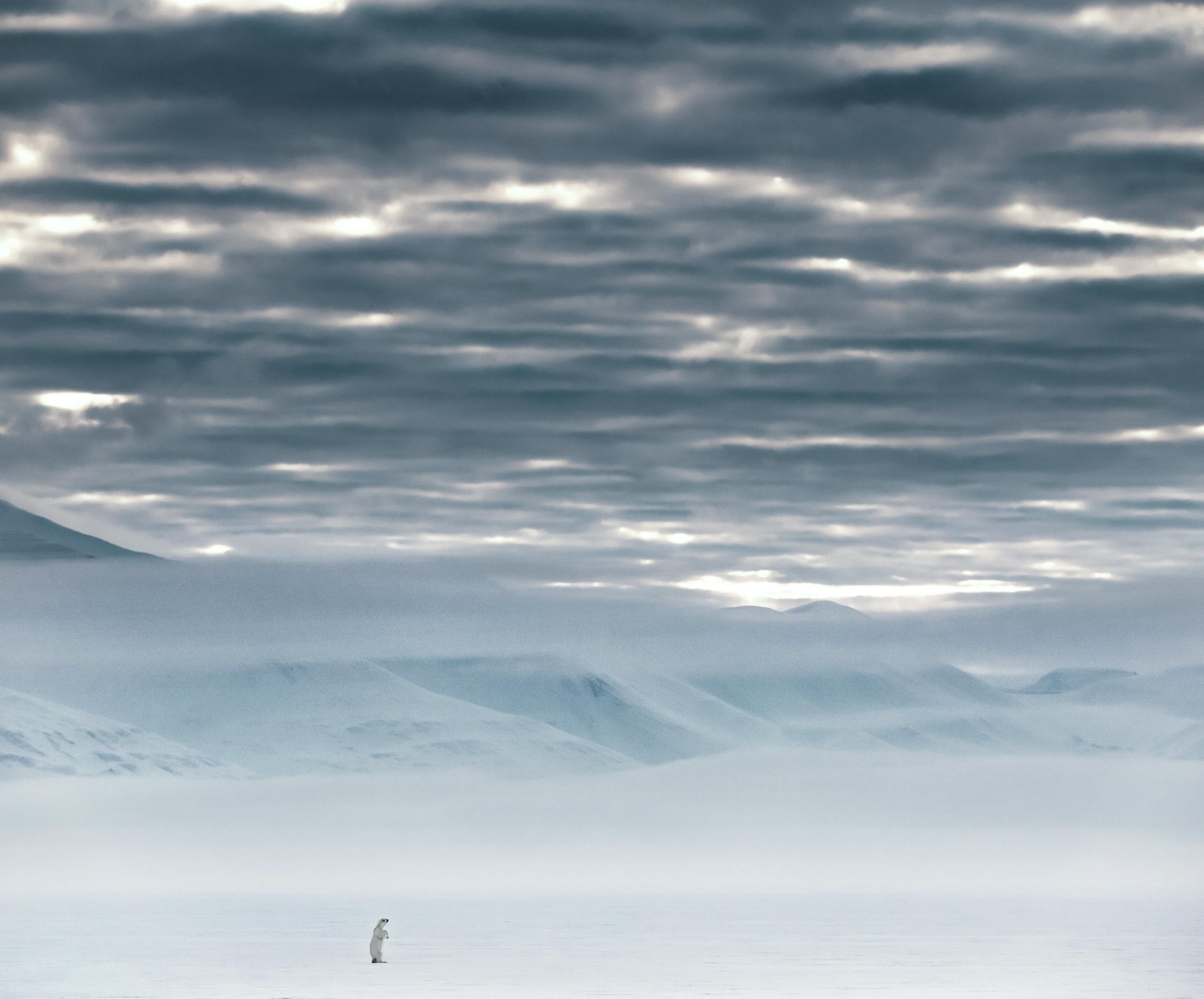 The North Remembers
Svalbard, Norway - 2019

Archival Pigment Print on 315gsm Hahnemühle Photo Rag Baryta Paper 

Edition Size: 12

Available sizes:

Standard 
Image Size: 37" x 49"
Framed Size: 52" x 64"

Large 
Image Size: 56" x 68"
Framed Size: