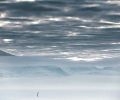 The North Remembers, Norwegen von David Yarrow - Contemporary Wildlife Photography