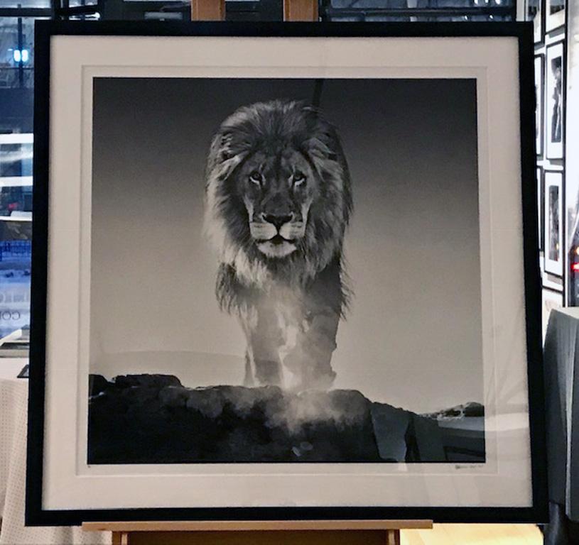 The Old Testament - Photograph by David Yarrow