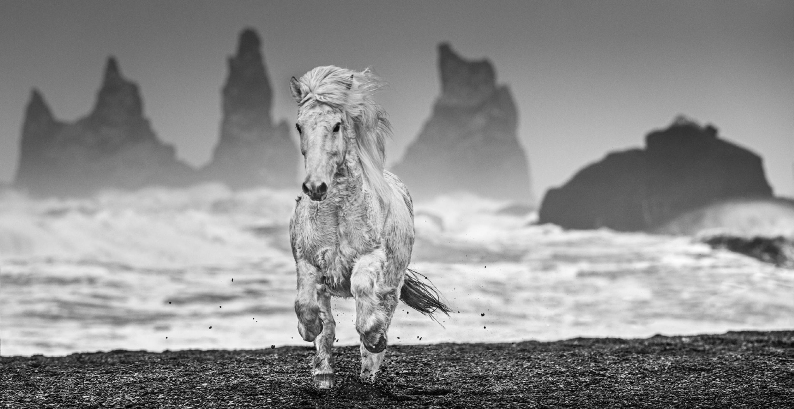 David Yarrow Black and White Photograph - The Perfect Storm