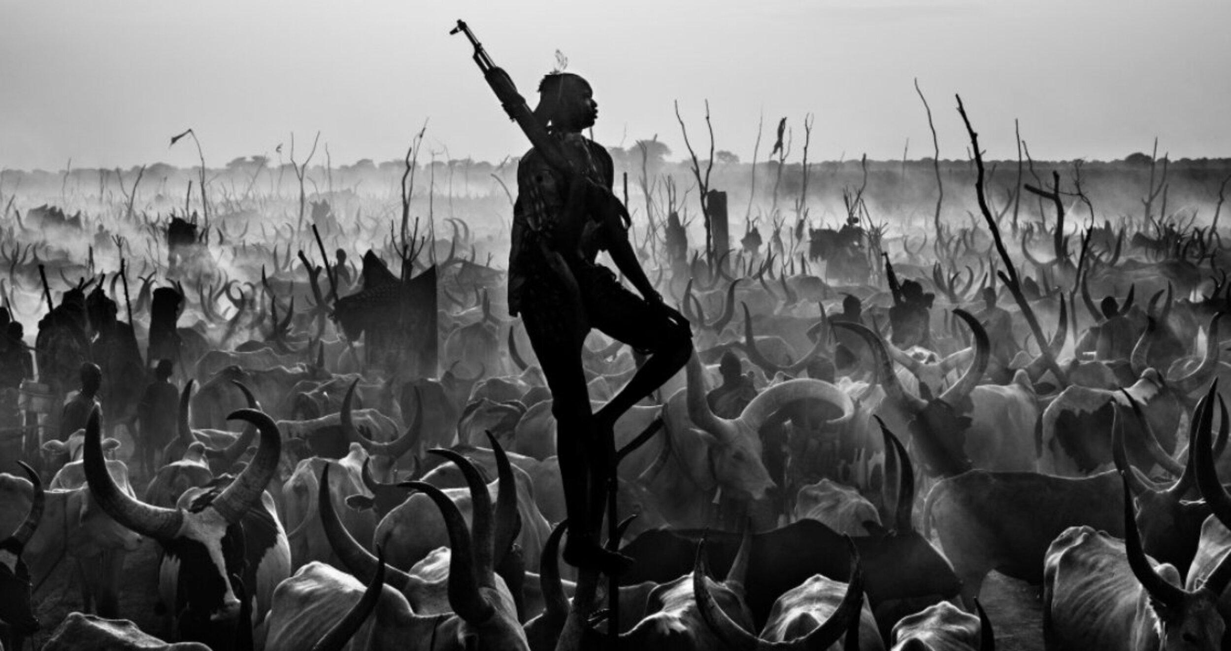 Der stolze Nachtwächter
Yirol, Südsudan - 2015

Archivalischer Pigmentdruck auf 315gsm Hahnemühle Photo Rag Baryta Papier 

Auflagenhöhe: 12

Verfügbare Größen:

Groß 
Bild Größe: 48" x 91"
Gerahmt Größe: 63" x 106"

Erklärung des Künstlers:

Dinka