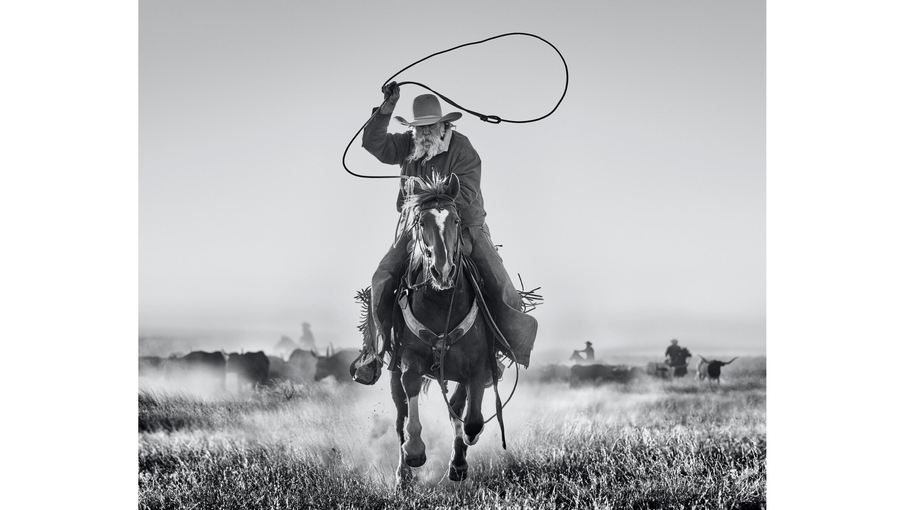 El ganadero
Oeste de Texas, TX - 2023

Impresión de pigmentos de archivo sobre papel baritado Hahnemühle Photo Rag de 315 g/m². 

Tamaño de la edición: 12

Tallas disponibles:

Estándar 
Tamaño de la imagen: 37" x 46"
Enmarcado Tamaño: 52" x