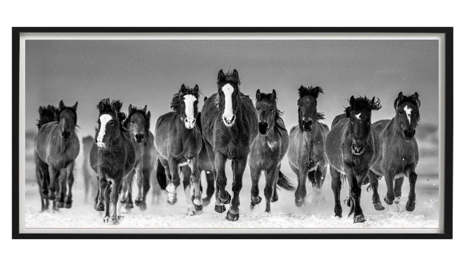 The Rolling Stones - wild mustang horses galloping in the snow  - Photograph by David Yarrow