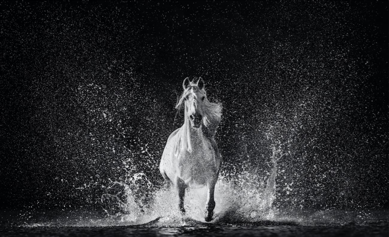 Black and White Photograph di David Yarrow - La forma dell'acqua