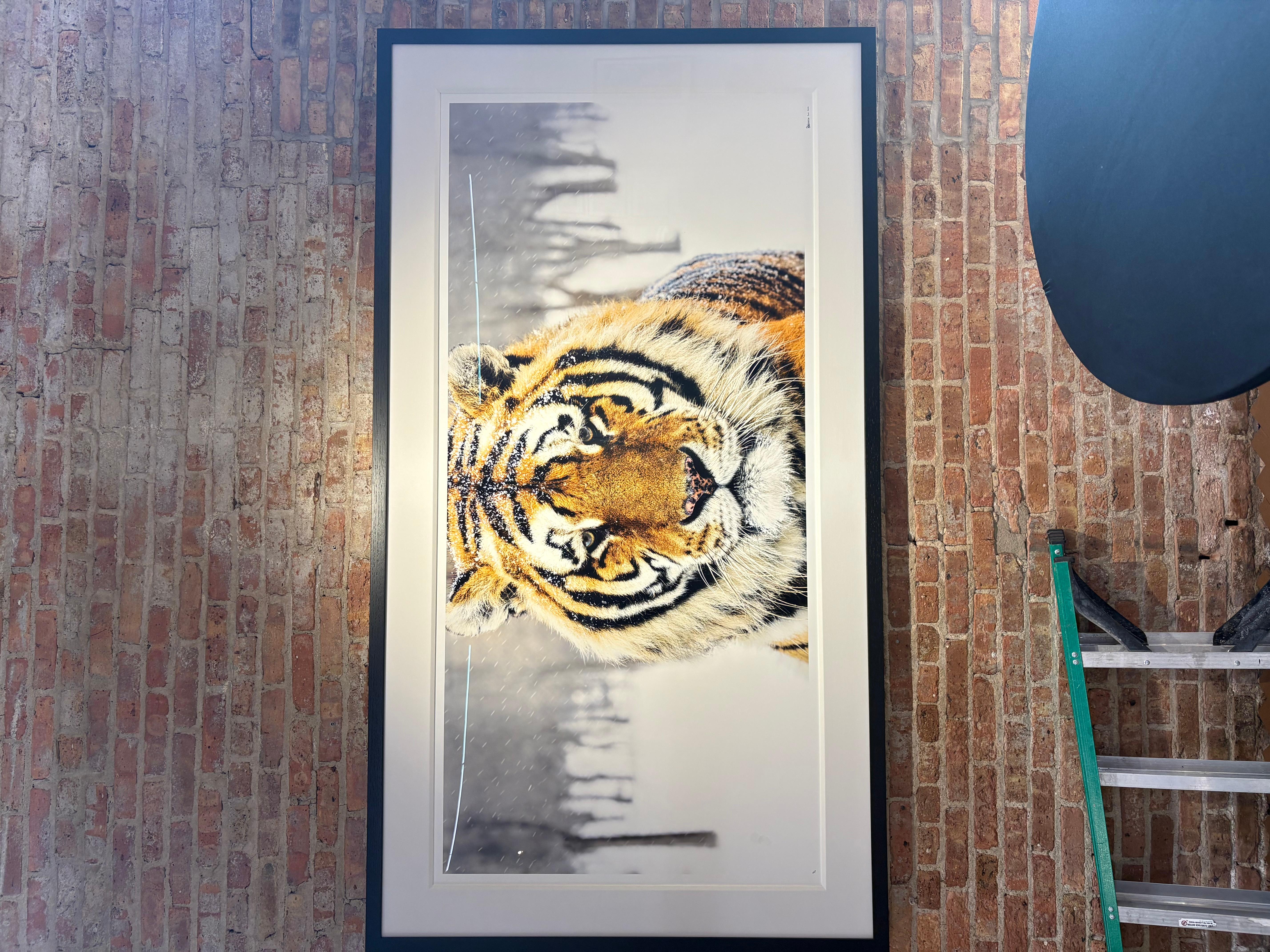 The Siberian - Photograph by David Yarrow