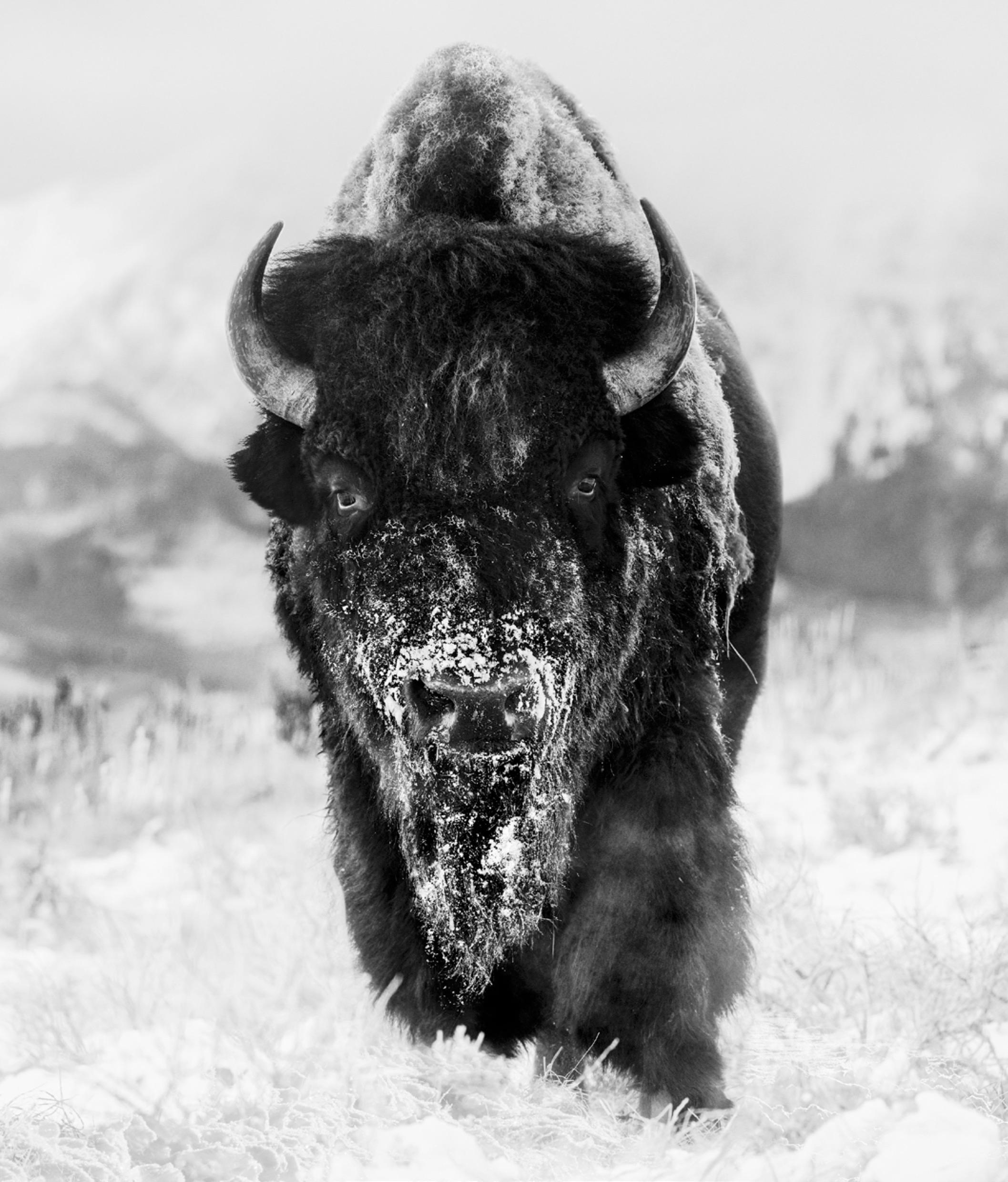 Black and White Photograph David Yarrow - Le bonhomme de neige