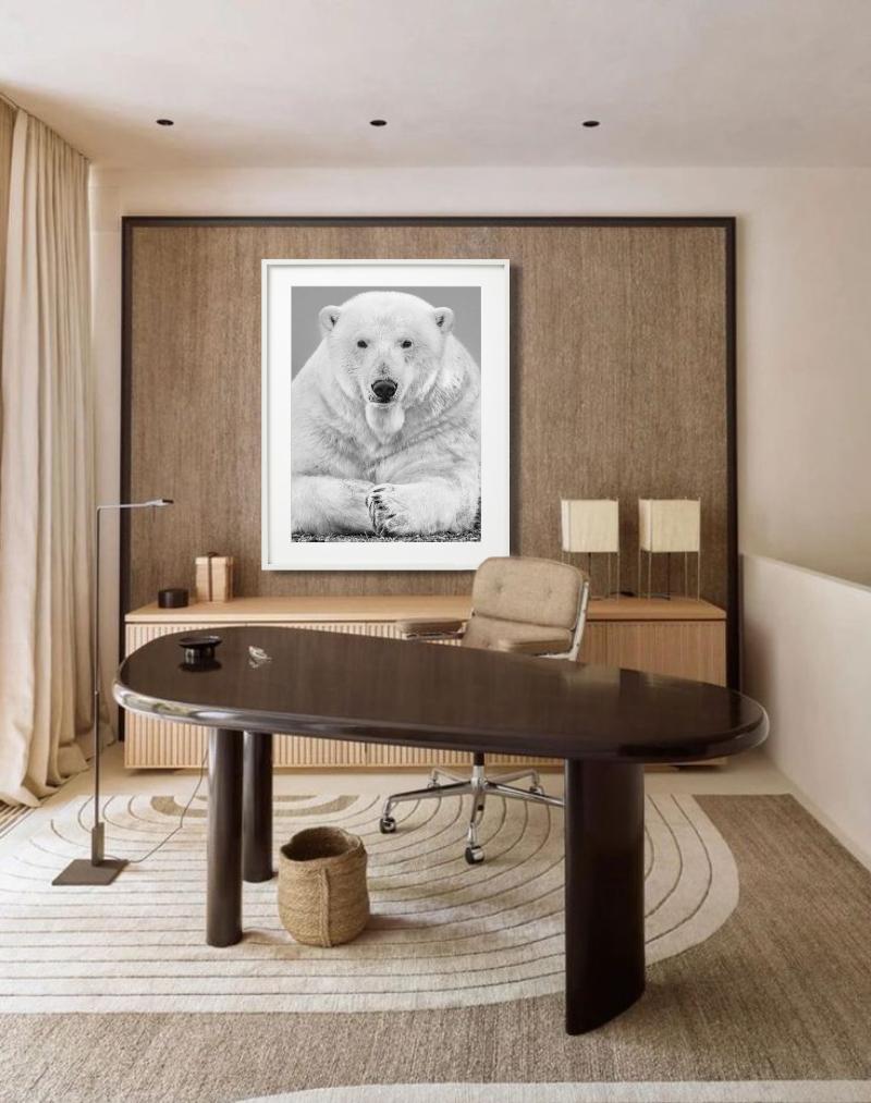 Diptych Fine Arts - Portrait Up&Up d'un ours polaire, photographie d'art, 2018 - Photograph de David Yarrow