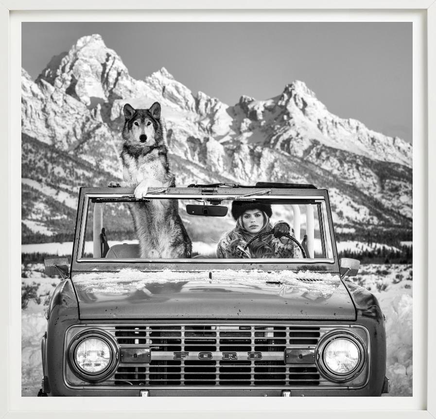 The Tetons – Modell und Wolf in einem Auto, Kunstfotografie, 2025 im Angebot 5