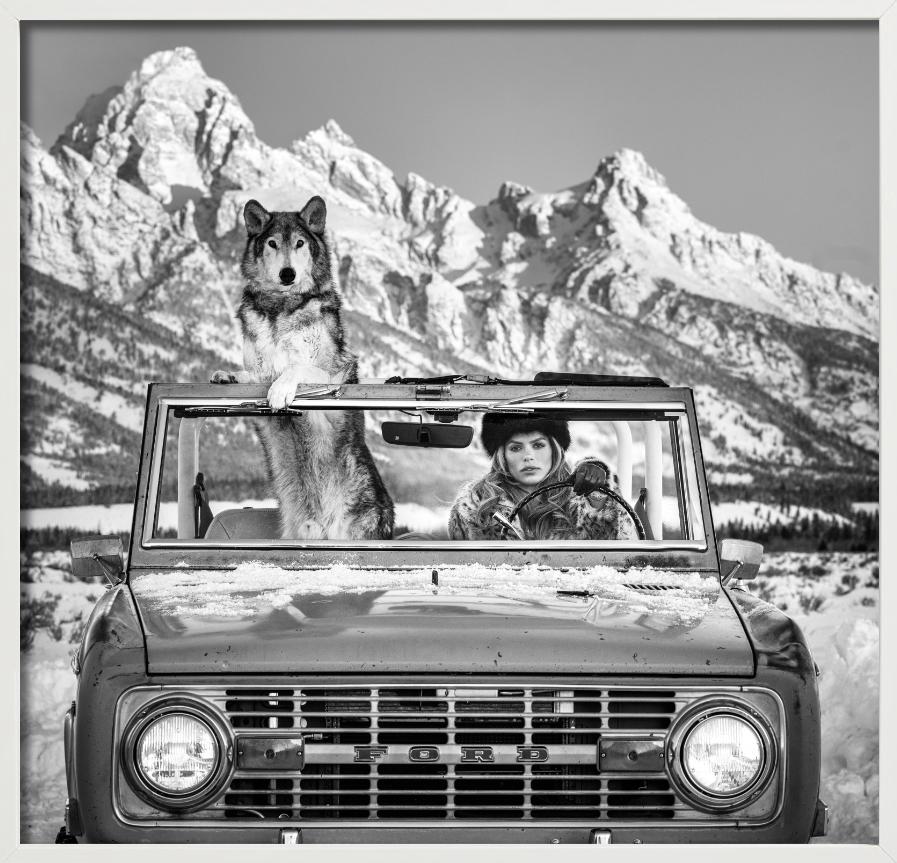 The Tetons – Modell und Wolf in einem Auto, Kunstfotografie, 2025 – Photograph von David Yarrow
