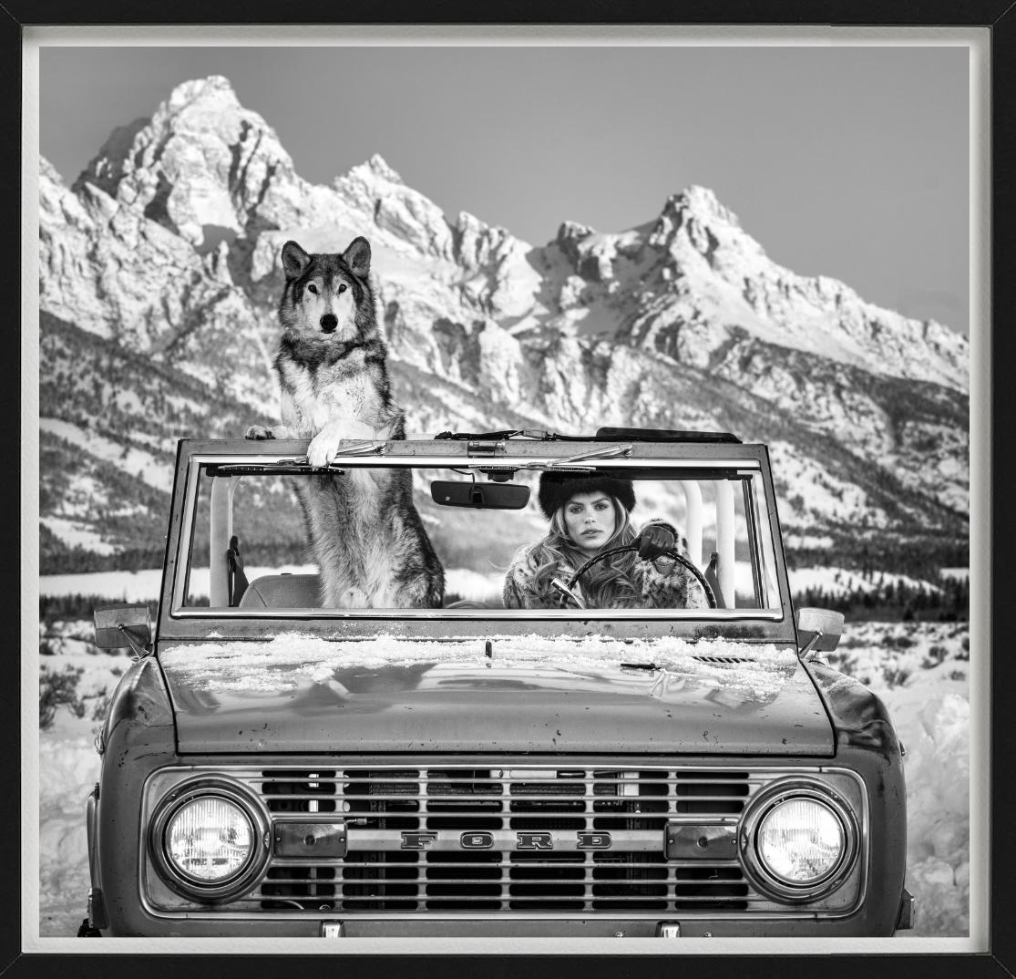 The Tetons – Modell und Wolf in einem Auto, Kunstfotografie, 2025 im Angebot 2