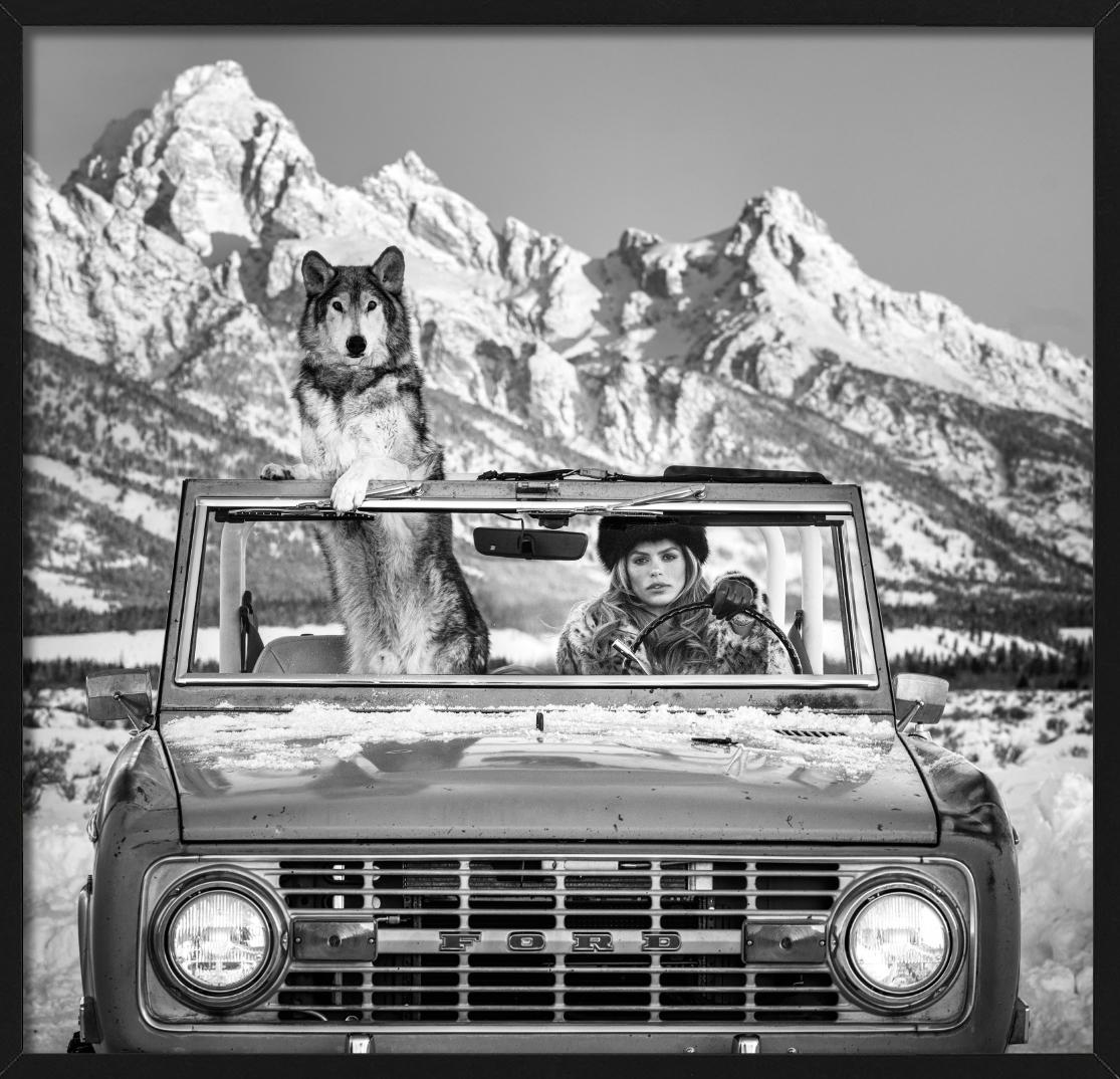 The Tetons – Modell und Wolf in einem Auto, Kunstfotografie, 2025 im Angebot 3