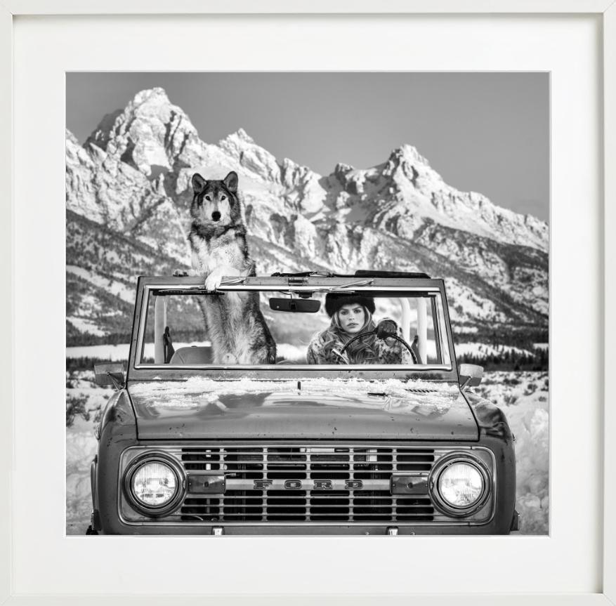 The Tetons – Modell und Wolf in einem Auto, Kunstfotografie, 2025 im Angebot 4