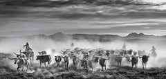 The Thundering Herd