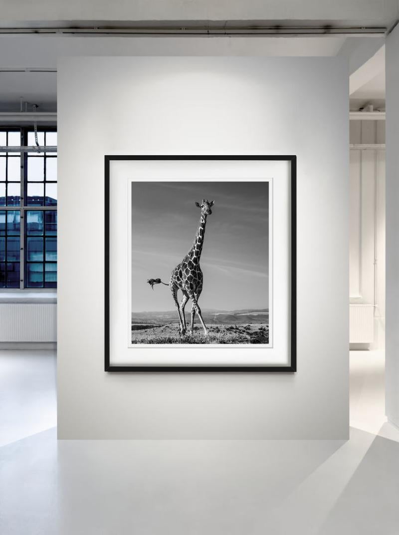 The Tiny Dancer - Running Giraffe, Fine Art Photography, 2019 - Gray Figurative Photograph by David Yarrow