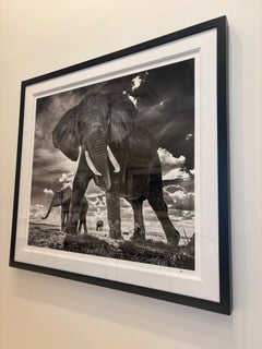 The Untouchables II by David Yarrow - Elephants - Kenya - Wildlife Photography