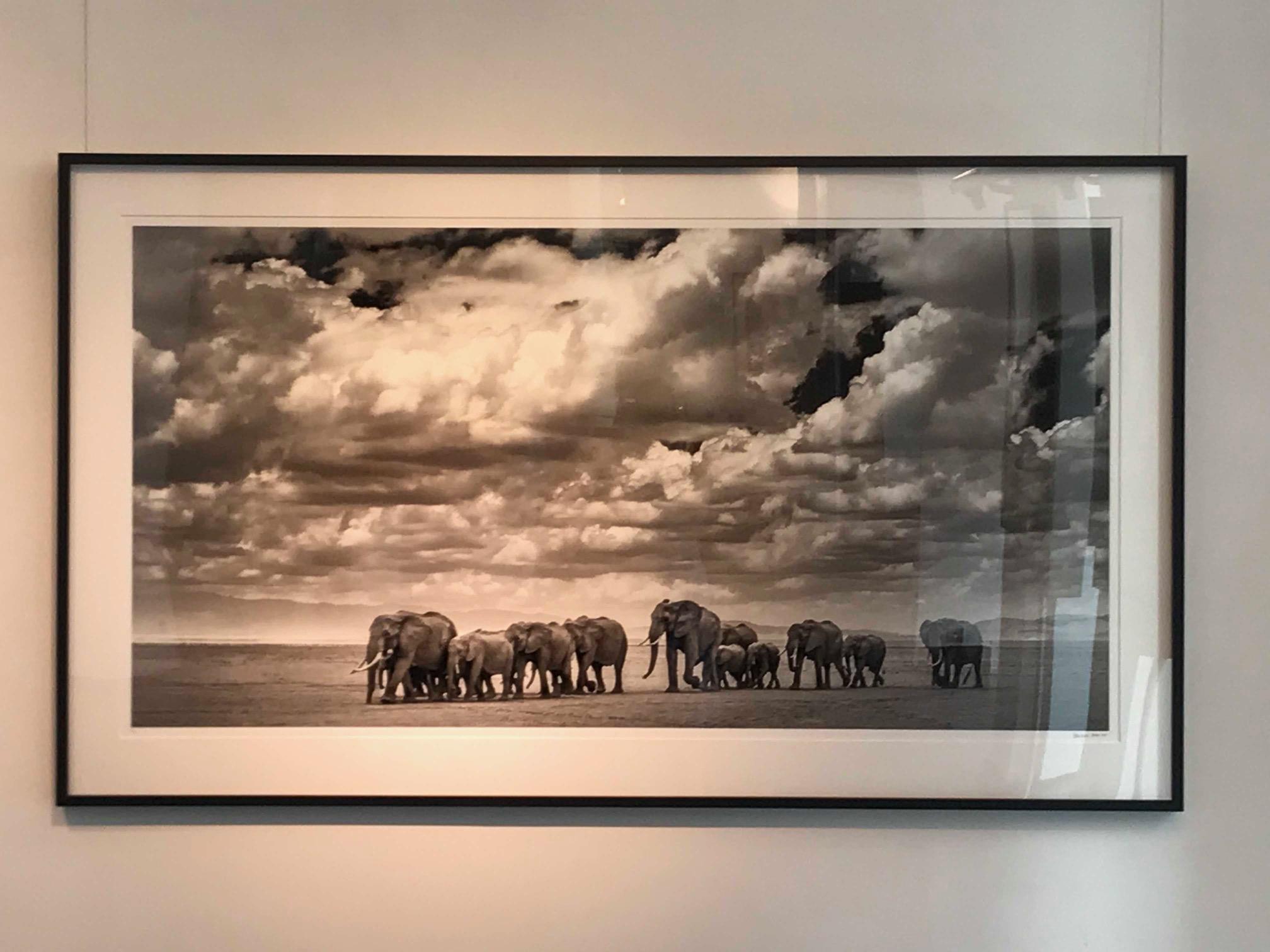 Los Waterboys - Photograph de David Yarrow