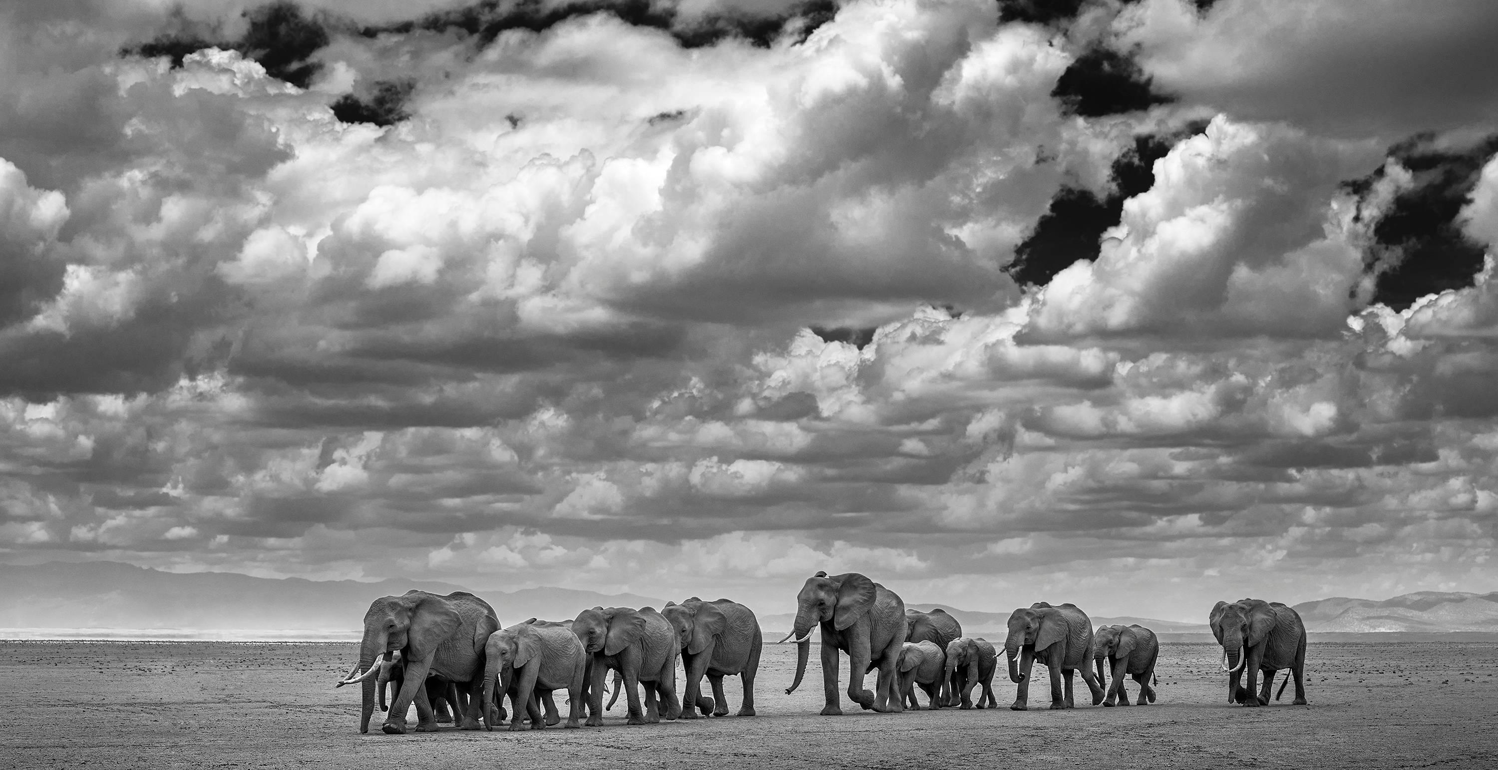 Black and White Photograph de David Yarrow - Los Waterboys