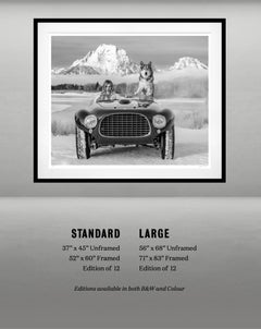 La Dama Blanca (Color) de David Yarrow