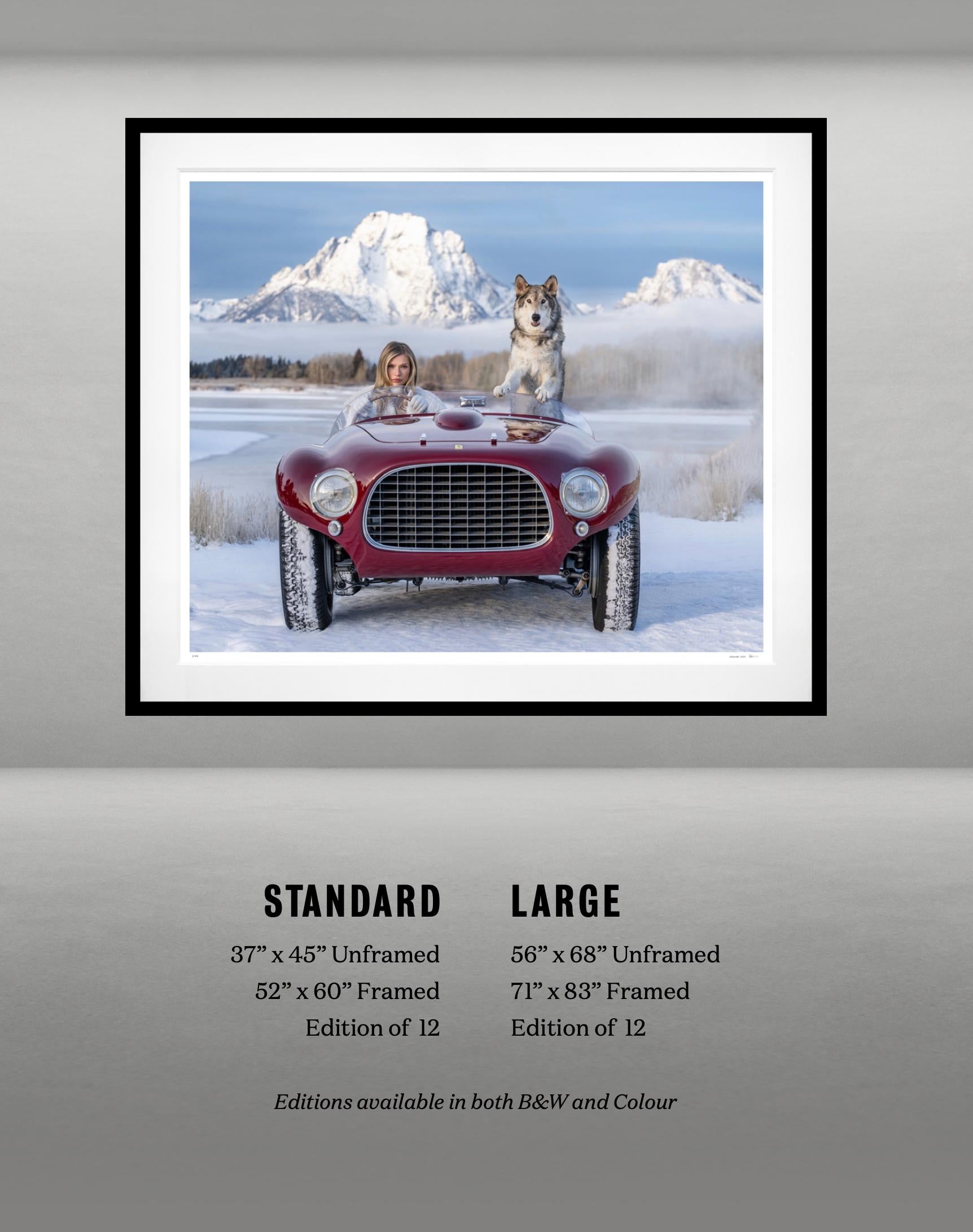 The White Lady (Colour) by David Yarrow For Sale 2