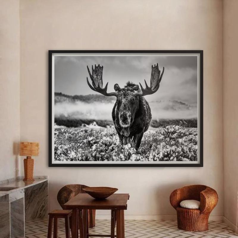 La estación invernal, Jackson Hole, Wyoming, b/n, Fotografía artística, 2024 en venta 5