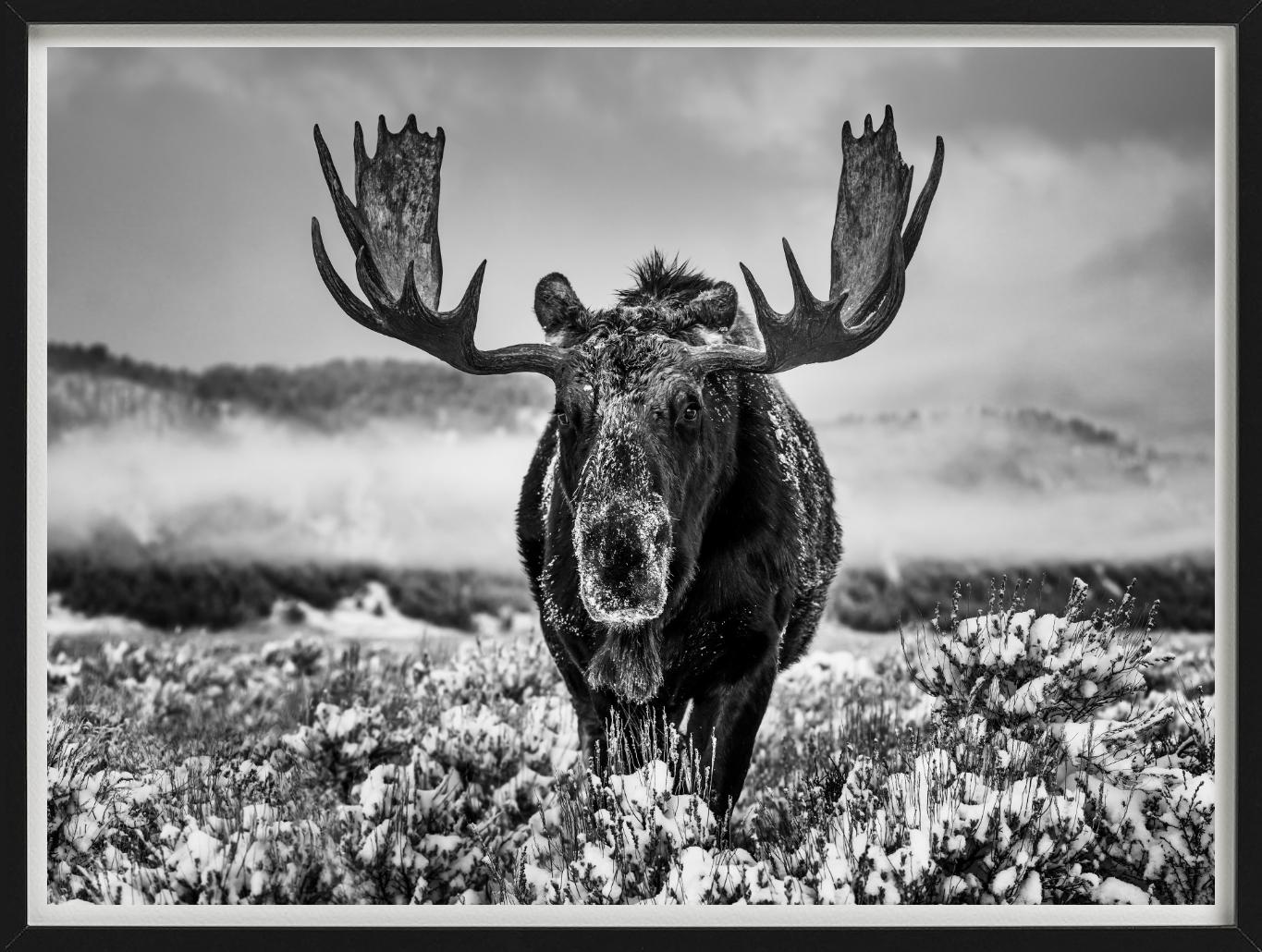 La estación invernal, Jackson Hole, Wyoming, b/n, Fotografía artística, 2024 - Photograph Contemporáneo de David Yarrow