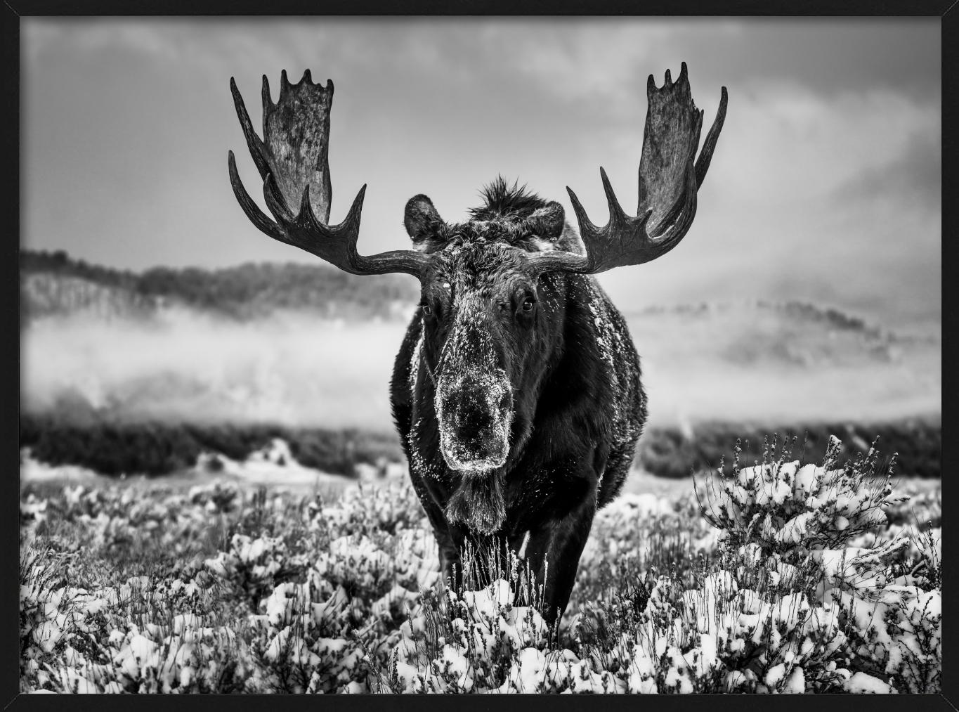 La estación invernal, Jackson Hole, Wyoming, b/n, Fotografía artística, 2024 - Figurative Photograph Gris de David Yarrow