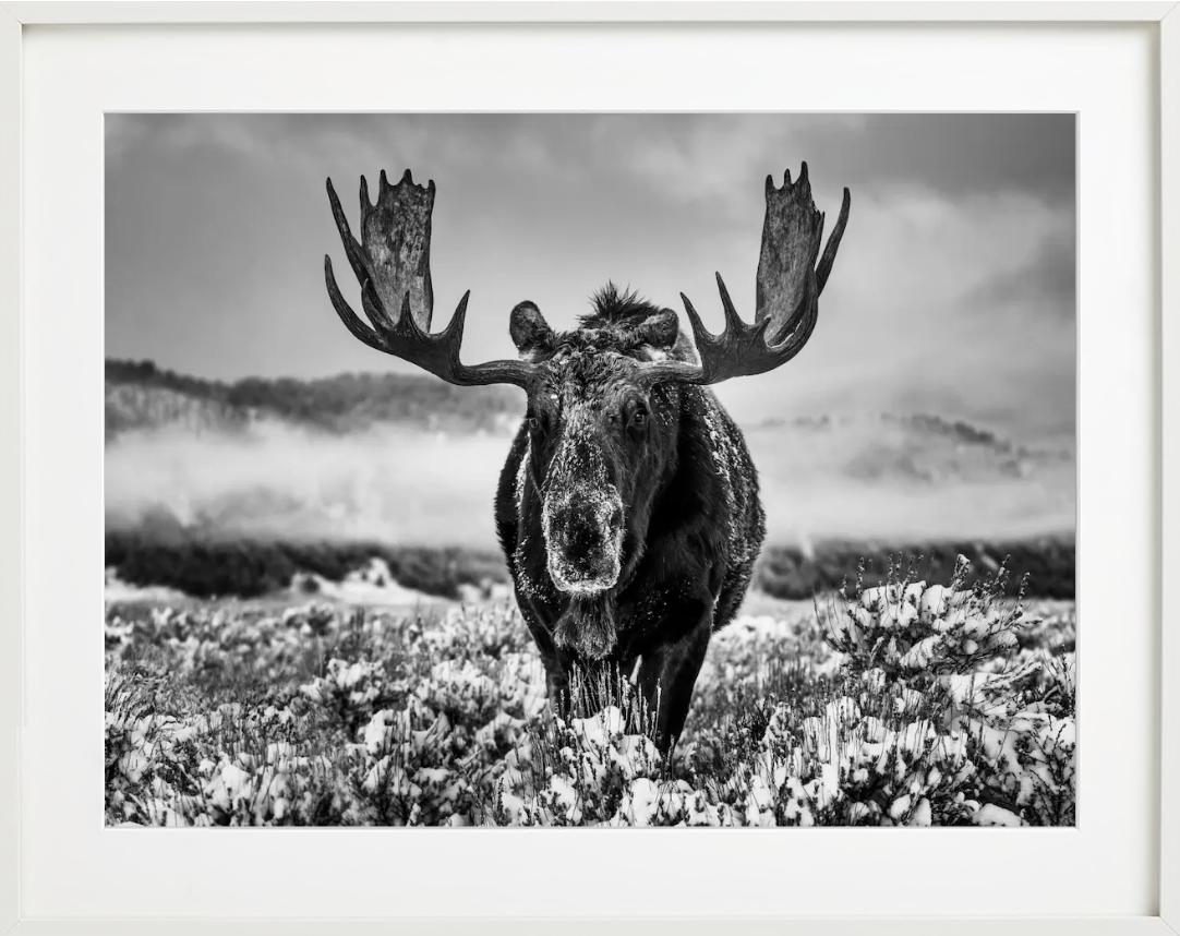 La estación invernal, Jackson Hole, Wyoming, b/n, Fotografía artística, 2024 en venta 3