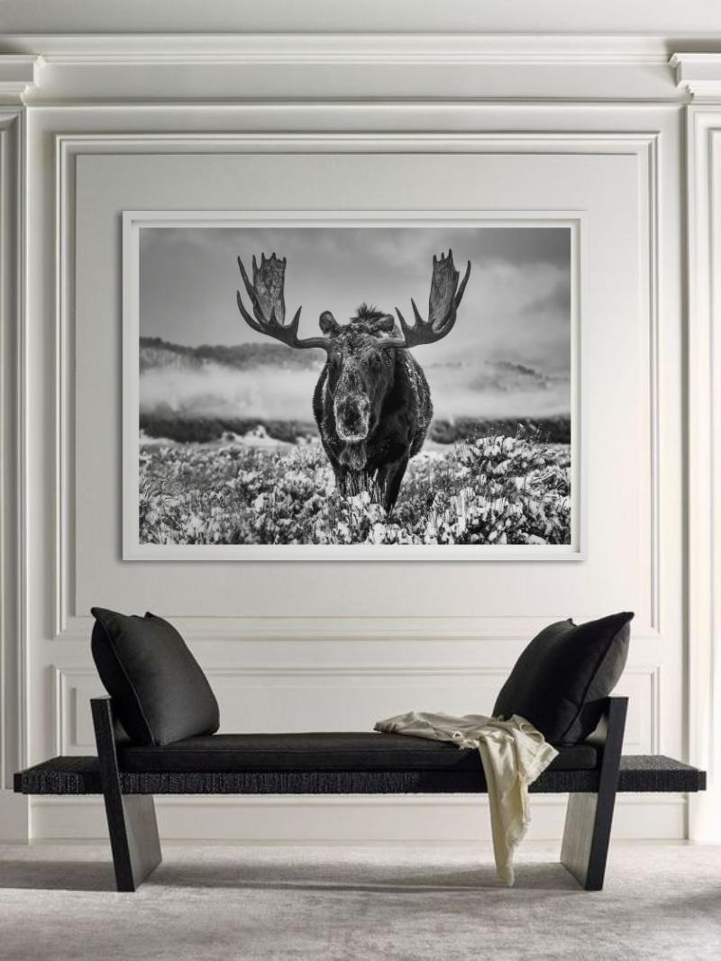La estación invernal, Jackson Hole, Wyoming, b/n, Fotografía artística, 2024 en venta 4