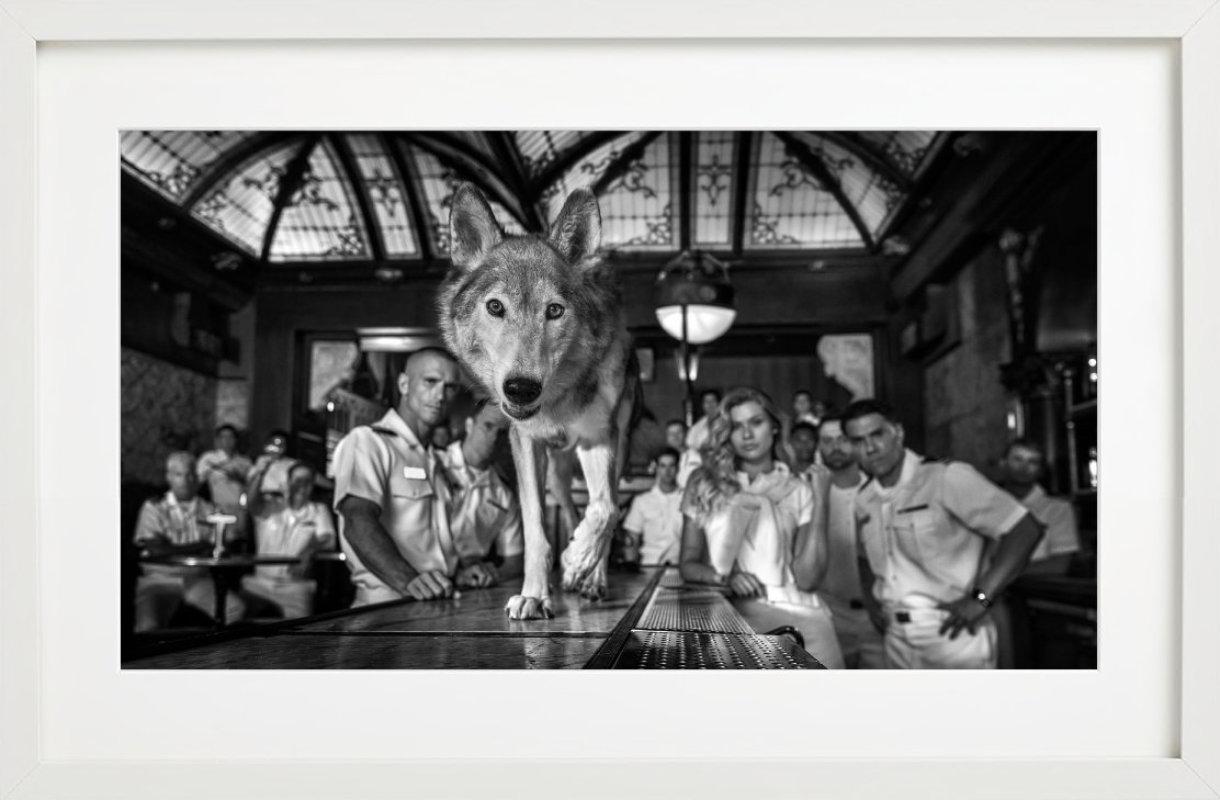 'Top Gun' - Barscene with wolf, fine art photography, 2023 For Sale 2