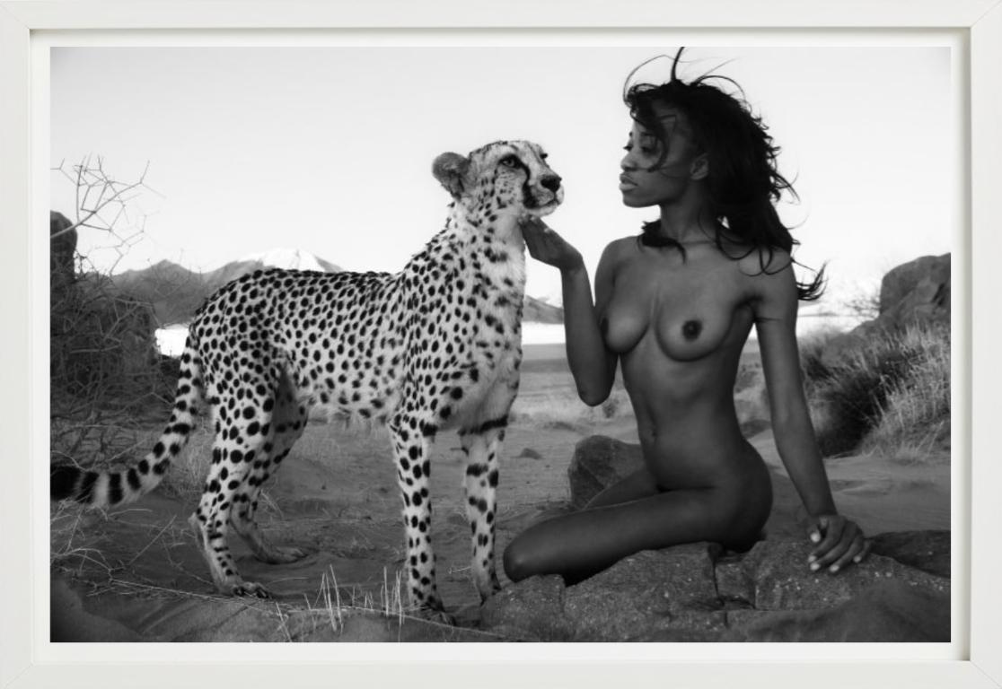 Modella nuda che si accovaccia con grazia nel deserto per accarezzare un ghepardo, fotografata da David Yarrow nel 2020.

Tutte le stampe sono in edizione limitata. Disponibile in più misure. Cornici di alto livello su richiesta.

Tutte le stampe