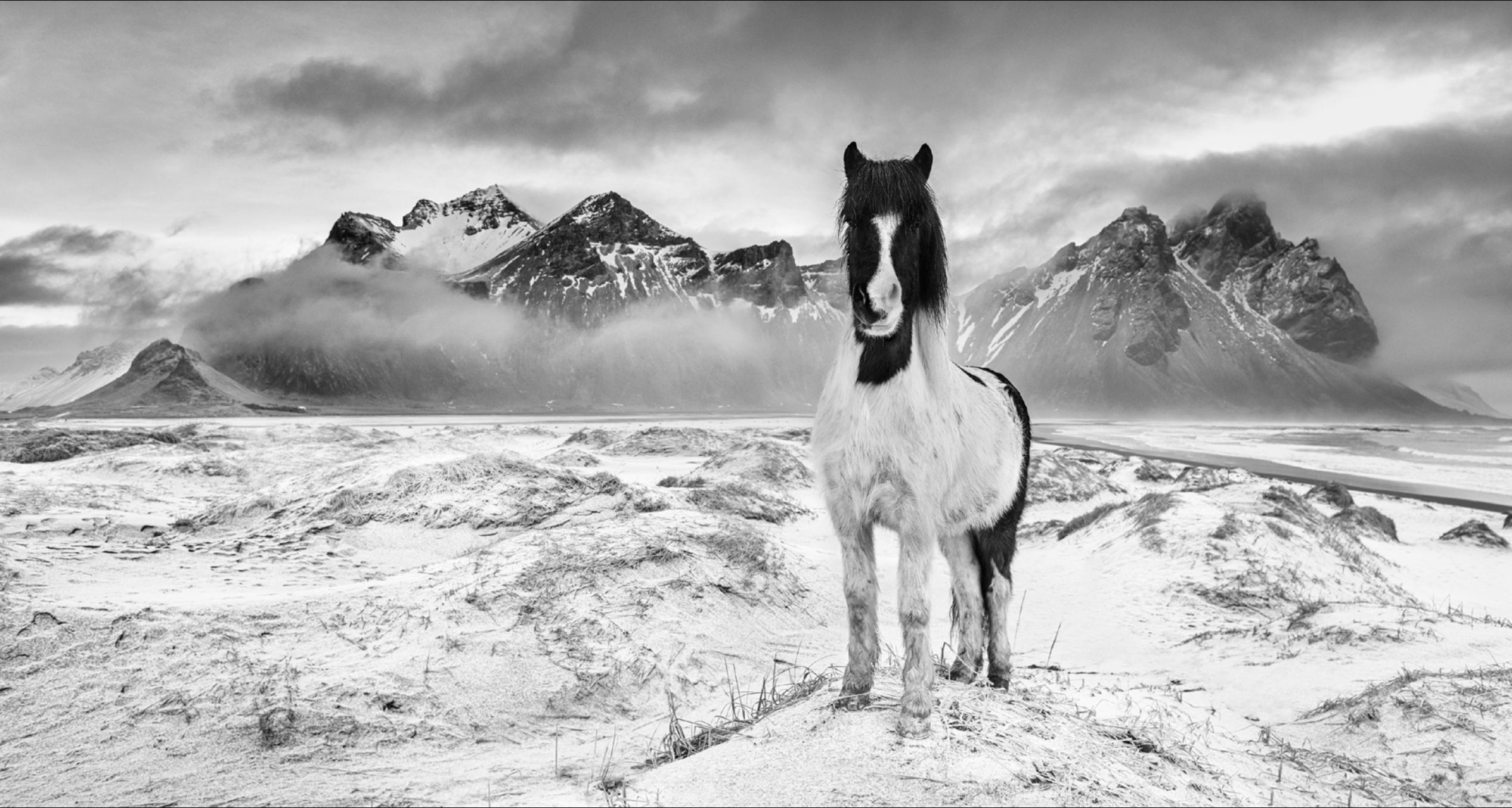 David Yarrow Black and White Photograph - True North 