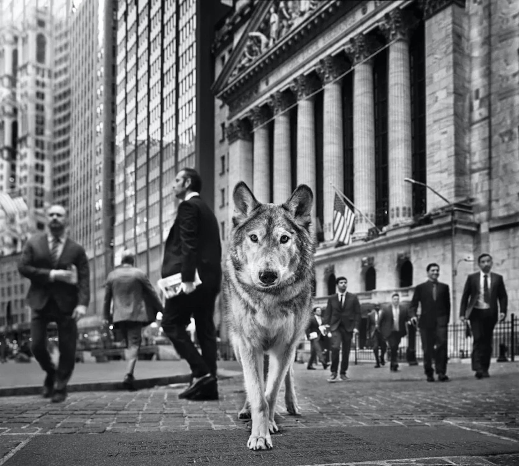 Wall Street - Photograph by David Yarrow