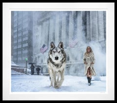 Wall Street Stories (Colour) by David Yarrow - Manhattan, New York City - Wolf