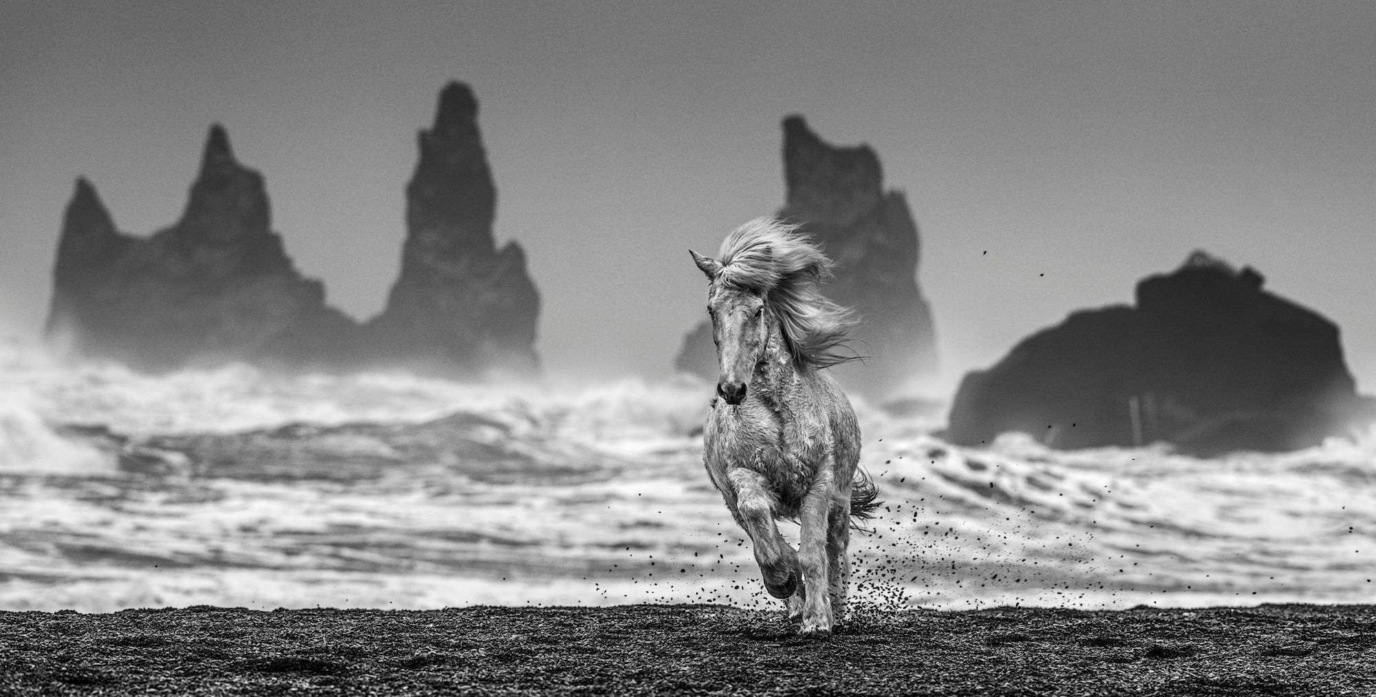 David Yarrow Black and White Photograph - White Horses, Archival Pigment Print , Contemporary Black and White photography