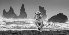 White Horses, Archival Pigment Print , Contemporary Black and White photography