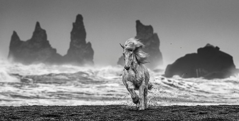 David Yarrow Black and White Photograph - White Horses, Archival Pigment Print ,Contemporary Black and White photography
