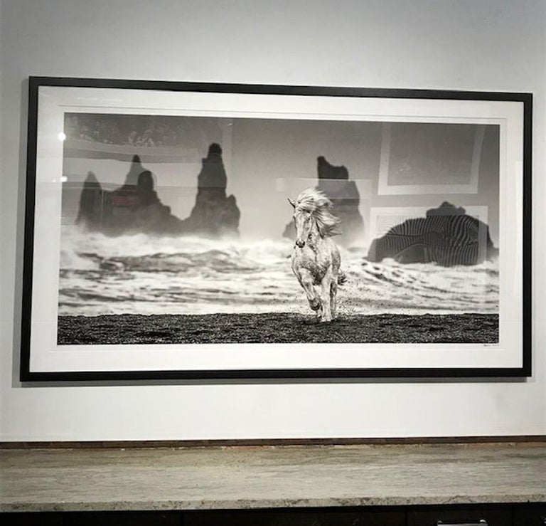 David Yarrow White Horses For Sale at 1stDibs