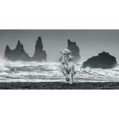 White Horses