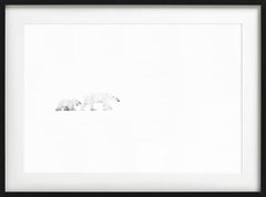 White out, mère et ourson polaires dans la neige, photographie d'art