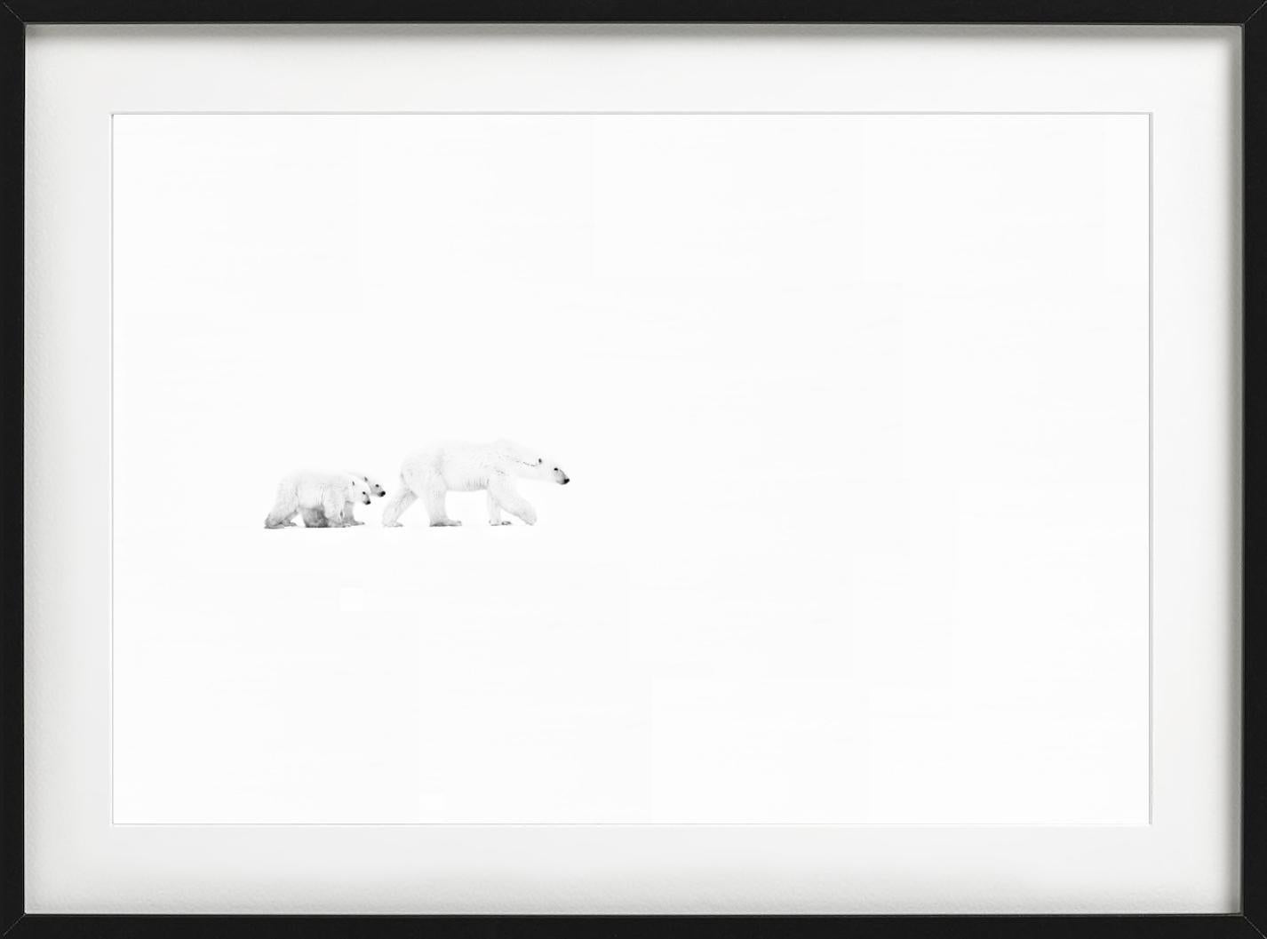 Whiting, due orsi polari a passeggio, Bianco e nero, Fotografia Fine Art - Photograph di David Yarrow