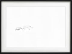 White out, dos osos polares caminando, Blanco y negro, Fotografía artística