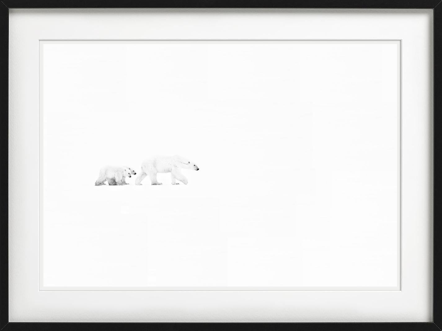 Immagine in bianco e nero di due orsi polari che camminano nel freddo deserto fotografata da David Yarrow.

Tutte le stampe sono in edizione limitata. Disponibile in più misure. Cornici di alto livello su richiesta.

Tutte le stampe sono realizzate