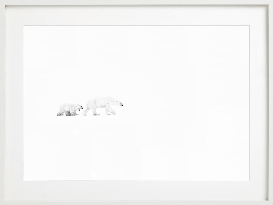 Whiting, due orsi polari a passeggio, Bianco e nero, Fotografia Fine Art in vendita 3