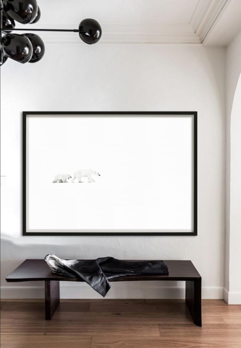 Whiting, due orsi polari a passeggio, Bianco e nero, Fotografia Fine Art in vendita 4
