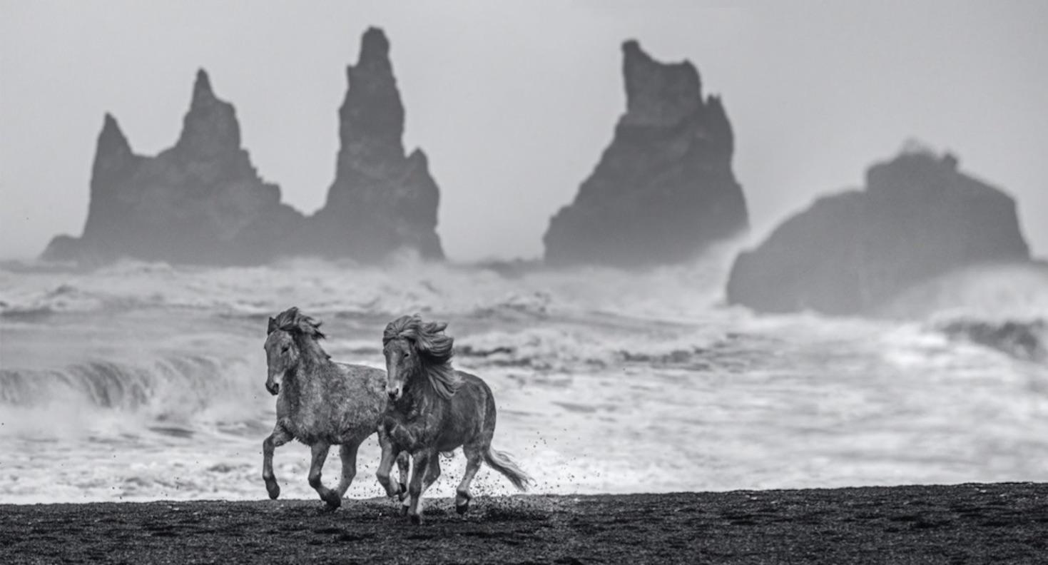 David Yarrow Landscape Photograph - Wild Horses