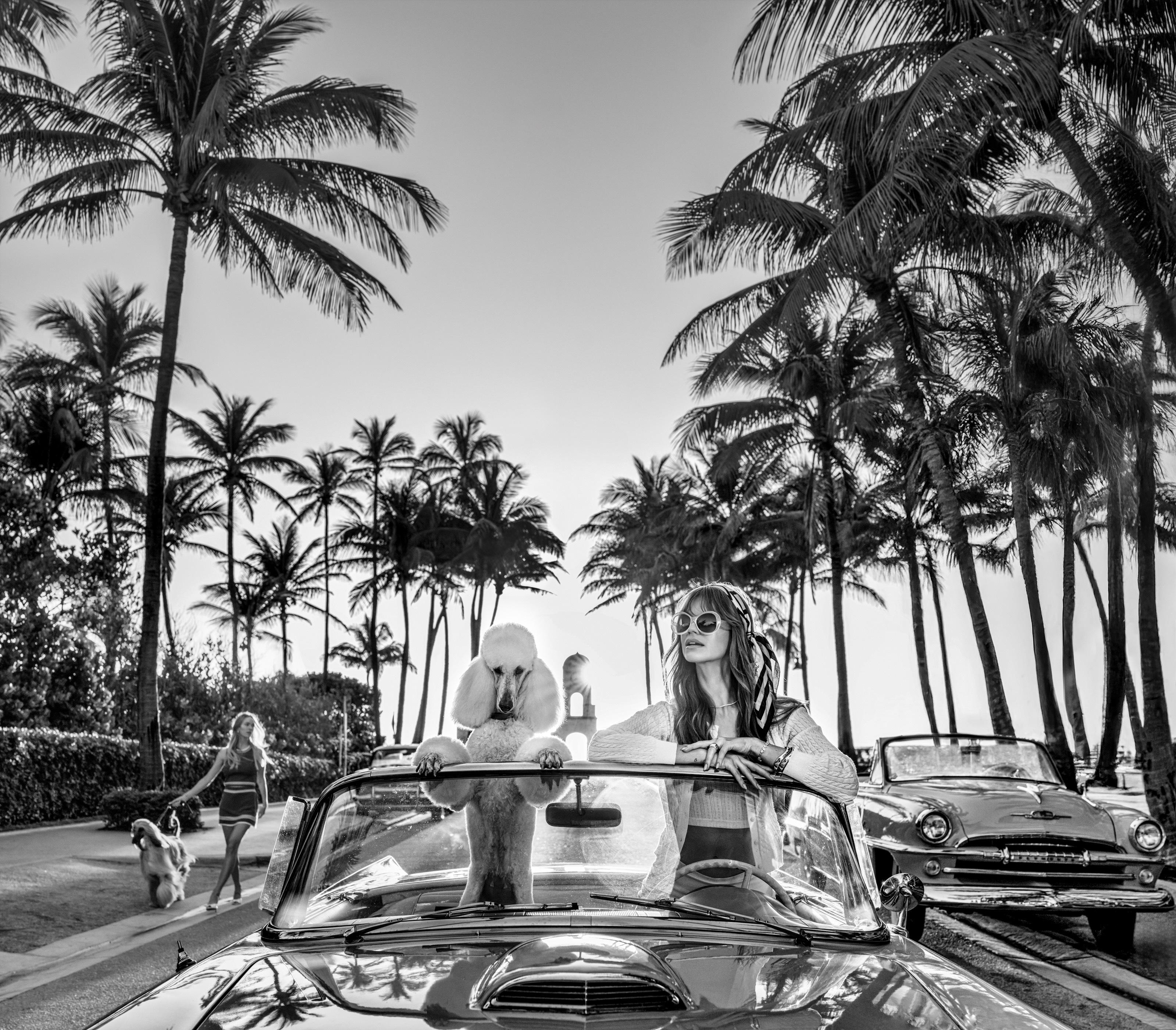 Worth Avenue (B&N) - Palm Springs - David Yarrow