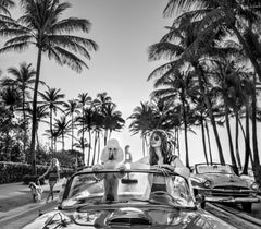 Worth Avenue (B&N) - Palm Springs - David Yarrow