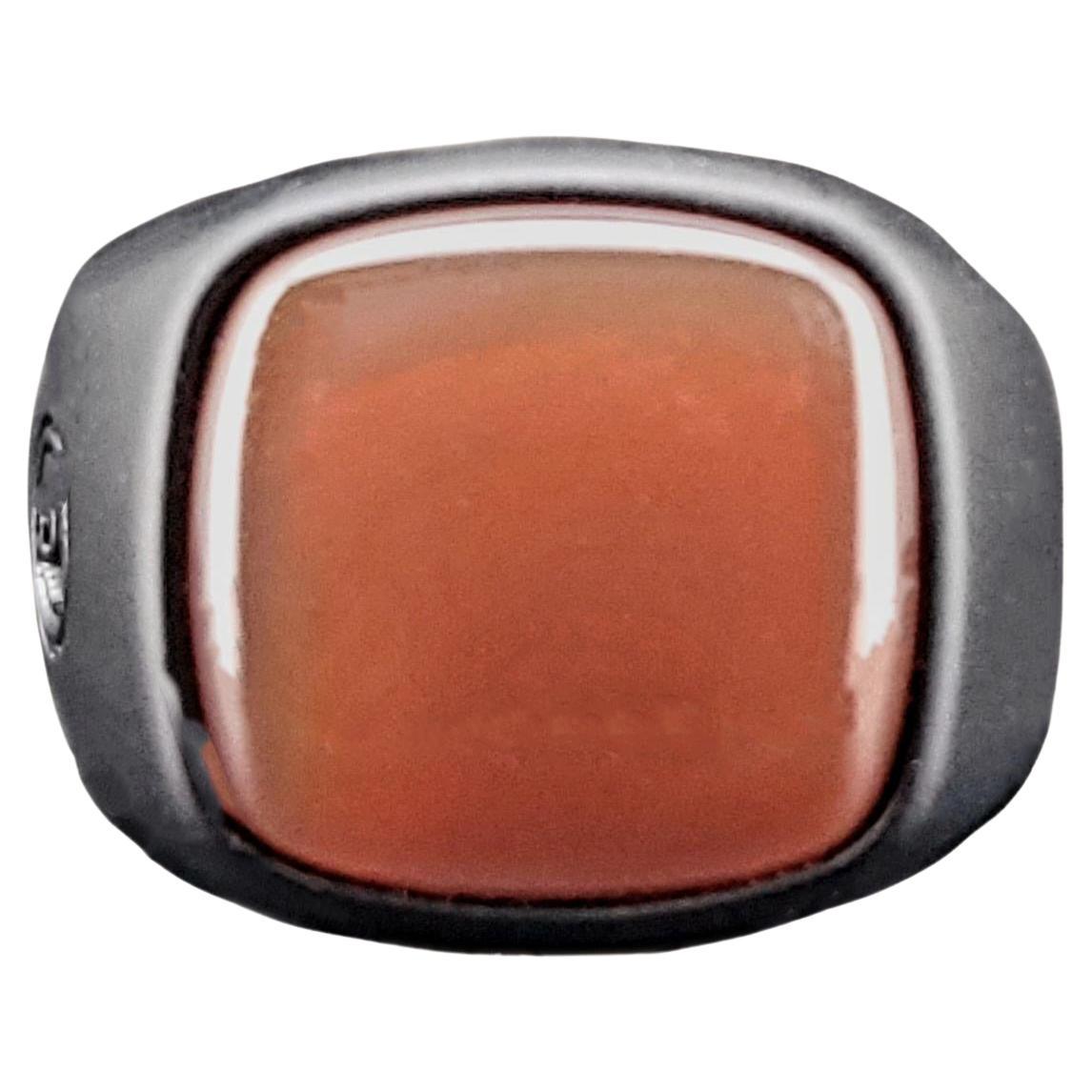 Paparazzi VINTAGE VAULT Paparazzi VINTAGE VAULT