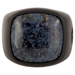 David Yurman Men's Exotic Stone Ring with Pietersite in Black Titanium